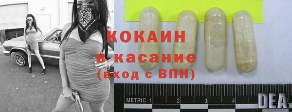 молекула духа Алексин