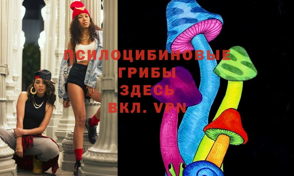 соль курить ск Алзамай