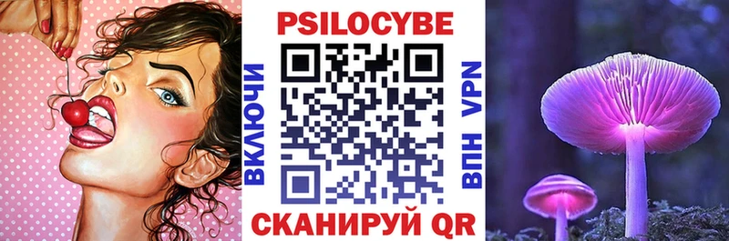 Псилоцибиновые грибы мухоморы  Купить закладки  Вилючинск 
